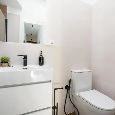 Santiago Duplex Penthouse 公寓 *
