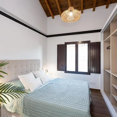 公寓 Santiago Duplex Penthouse 格拉纳达