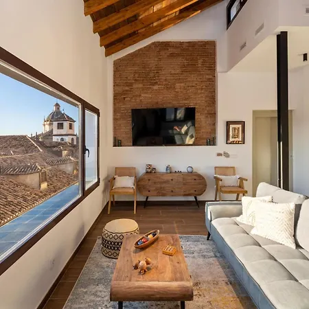 Santiago Duplex Penthouse 公寓 格拉纳达