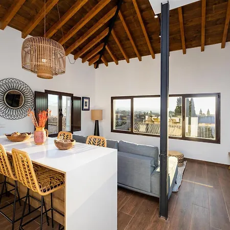 公寓 Santiago Duplex Penthouse 格拉纳达